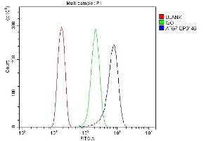 Flow Cytometry analysis of HELA cells using anti-ATG7 antibody (ABIN7603109).