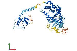 AlphaFold protein structure predicition of Mouse Recombinant Nr1i2 Protein, UniprotID O54915 (NR1I2 Protein (AA 1-431) (His tag))