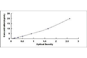 PRKG2 ELISA Kit