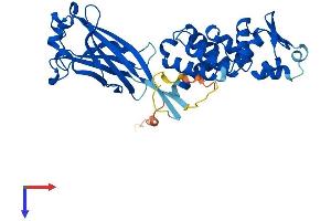 SPOP-B Protein (AA 1-374) (His tag)