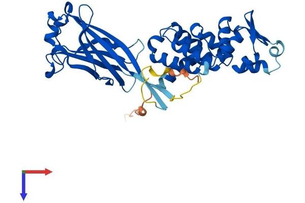 SPOP-B Protein (AA 1-374) (His tag)