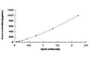 BMP4 ELISA Kit