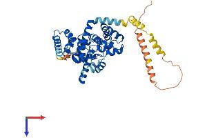TBC1D20 Protein (AA 1-403) (His tag)