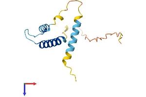 ID3 Protein (AA 1-119) (His tag)