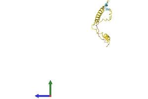 AlphaFold protein structure predicition of Human Recombinant TNP2 Protein, UniprotID Q05952