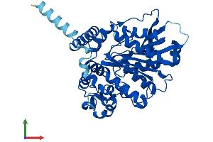 Protein Structure (PS) image for Arylacetamide Deacetylase (Esterase) (AADAC) (AA 1-398) protein (His tag) (ABIN7560458)