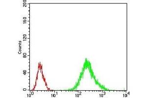Flow cytometric analysis of Jurkat cells using RANBP9 mouse mAb (green) and negative control (red). (Importin 9 Antikörper  (AA 453-680))