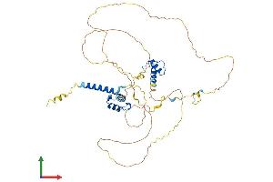 Protein Structure (PS) image for Thymopoietin (TMPO) (AA 1-452) protein (His tag) (ABIN7557649)
