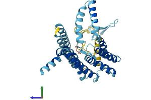 Protein Structure (PS) image for Peroxisomal Biogenesis Factor 16 (PEX16) (AA 1-336) protein (His tag) (ABIN7550727)