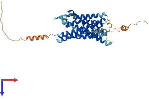 CCBP2 Protein (AA 1-384) (His tag)