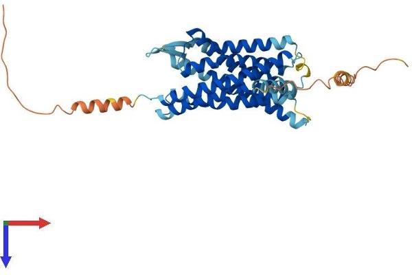 CCBP2 Protein (AA 1-384) (His tag)
