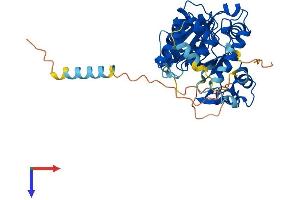 GCNT7 Protein (AA 1-430) (His tag)