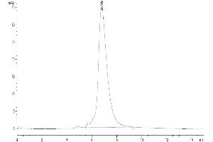 Size-exclusion chromatography-High Pressure Liquid Chromatography (SEC-HPLC) image for Interleukin 6 Receptor, alpha (IL6RA) (AA 20-365) protein (Fc Tag) (ABIN7275024)