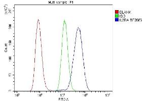 Flow Cytometry analysis of Raji cells using anti-IL3RA antibody (ABIN7599742). (IL3RA Antikörper  (AA 111-378))