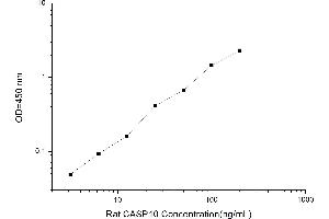 Caspase 10 ELISA Kit