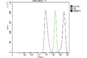 Flow Cytometry analysis of HEL cells using anti-SERBP1 antibody (ABIN7602927).