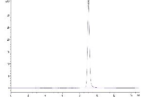 The purity of Human GIP is greater than 95 % as determined by SEC-HPLC. (GIP Protein (AA 22-93) (Fc Tag))