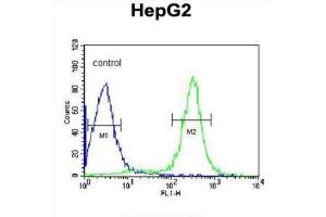 Flow Cytometry (FACS) image for anti-Inter-alpha Globulin Inhibitor H2 Polypeptide (ITIH2) antibody (ABIN3002765) (ITIH2 Antikörper)