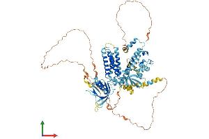 Protein Structure (PS) image for Connector Enhancer of Kinase Suppressor of Ras 1 (CNKSR1) (AA 1-720) protein (His tag) (ABIN7546623)