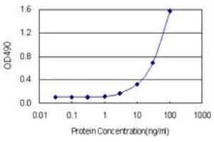Sandwich ELISA detection sensitivity ranging from 1 ng/mL to 100 ng/mL.
