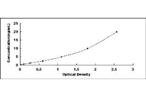 Typical standard curve (IRF1 ELISA Kit)