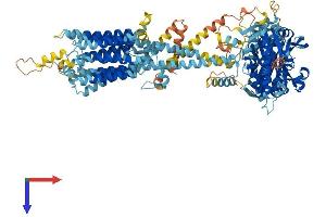 ADCY2 Protein (AA 1-1090) (His tag)