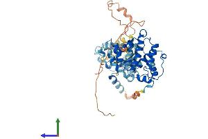Protein Structure (PS) image for rho GTPase Activating Protein 8 (ARHGAP8) (AA 1-464) protein (His tag) (ABIN7551336)