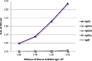 ELISA plate was coated with purified rat IgG1, IgG2a, IgG2b, IgG2c, and IgM. (Maus anti-Ratte IgG1 (Fc Region) Antikörper (Alkaline Phosphatase (AP)))