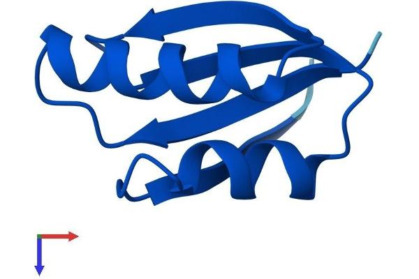 ATOX1 Protein (AA 1-68) (Fc Tag)