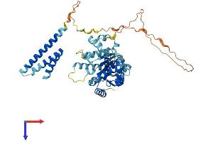 KATNAL1 Protein (AA 1-488) (His tag)