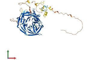 Protein Structure (PS) image for Recombination Activating Gene 2 (RAG2) (AA 1-527) protein (His tag) (ABIN7555155)
