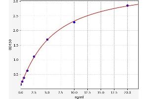 Follistatin-Like 1 (FSTL1) ELISA Kit