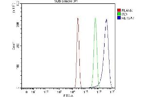 Flow Cytometry analysis of HepG2 cells using anti-RETSAT antibody (ABIN7601433). (RETSAT Antikörper  (AA 35-597))
