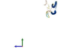 Protein Structure (PS) image for Keratin 20 (KRT20) (AA 1-424) protein (His tag) (ABIN7548723)