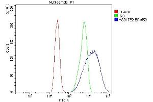 Flow Cytometry analysis of CACO-2 cells using anti-HSD17B2 antibody (ABIN7602828). (HSD17B2 Antikörper  (C-Term))