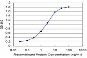 Detection limit for recombinant GST tagged SMG1 is approximately 0. (SMG1 Antikörper  (AA 2922-3031))