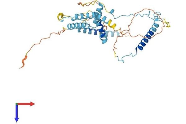 MBIP Protein (AA 1-344) (His tag)