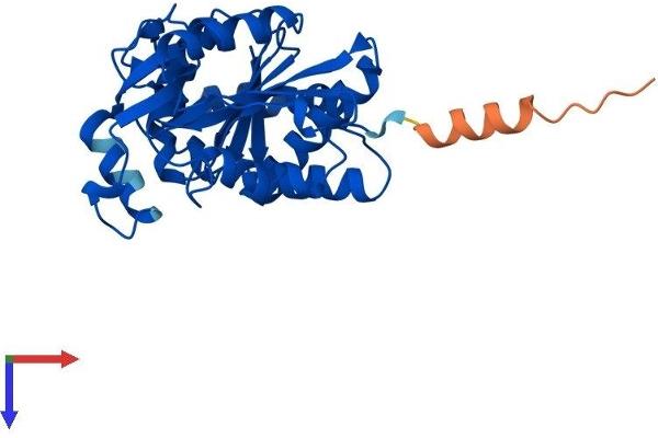 GNPDA1 Protein (AA 1-289) (His tag)