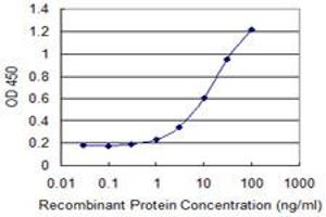 Detection limit for recombinant GST tagged CLEC1A is 0. (CLEC1A Antikörper  (AA 1-280))