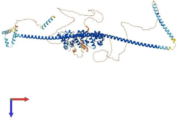 PPFIBP2 Protein (AA 1-882) (His tag)