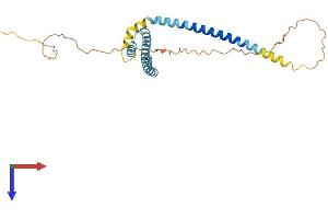 Receptor Accessory Protein 4 Protein (REEP4) (AA 1-257) (His tag)