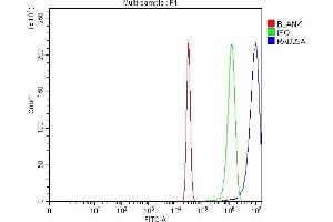 Flow Cytometry analysis of Hela cells using anti-HHR23A/RAD23A antibody (ABIN7603222). (RAD23A Antikörper  (N-Term))