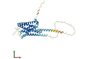 Protein Structure (PS) image for Histamine Receptor H4 (HRH4) (AA 1-390) protein (His tag) (ABIN7548407)