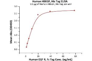ELISA image for Heparin-Binding EGF-Like Growth Factor (HBEGF) (AA 63-148) (Active) protein (His tag) (ABIN6992347)