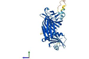 Protein Structure (PS) image for Adaptor-Related Protein Complex 2, mu 1 Subunit (AP2M1) (AA 1-435) protein (His tag) (ABIN7563538)