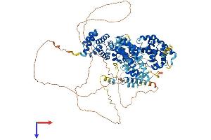 EIF4G2 Protein (AA 1-907) (His tag)