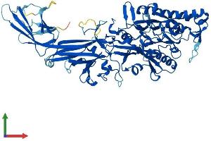 Protein Structure (PS) image for Peptidyl Arginine Deiminase, Type III (PADI3) (AA 1-664) protein (His tag) (ABIN7556376)