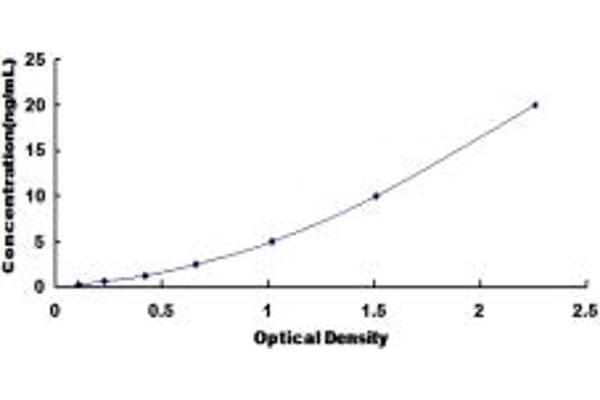 Smoothelin ELISA Kit