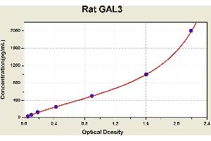 Diagramm of the ELISA kit to detect Rat GAL3with the optical density on the x-axis and the concentration on the y-axis.