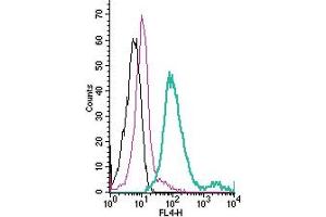 Cell surface detection of monocarboxylate transporter 1 by direct flow cytometry in live intact mouse J774 macrophage cells: + Rabbit IgG Isotype control-APC (ABIN7582043).
